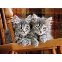 Clementoni Kittens Jigsaw Puzzle 500 Pieces