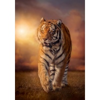 Clementoni Tiger Jigsaw Puzzle 1500 Pieces