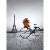 Clementoni Romantic Promenade in Paris Jigsaw Puzzle 500 Pieces
