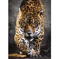 Clementoni Walk of the Jaguar Jigsaw 1000 Pieces