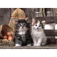 Clementoni Lovely Kittens Jigsaw Puzzle 1000 Pieces