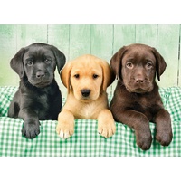 Clementoni Three Labs Jigsaw Puzzle 1000 Pieces