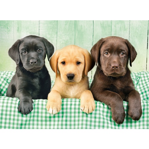Clementoni Three Labs Jigsaw Puzzle 1000 Pieces